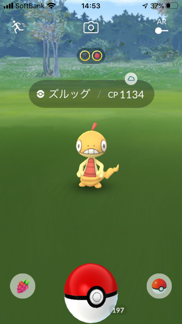 ポケモンgo おこうの日 あくタイプ編 豪運再び 衰えない神引き 田舎でも楽しめる ポケモンgo 京都日記