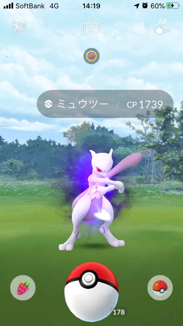 ポケモンgo Pokemon Go Fest Day2 2 サカキ討伐 シャドウミュウツーの個体値は 田舎でも楽しめる ポケモンgo 京都日記