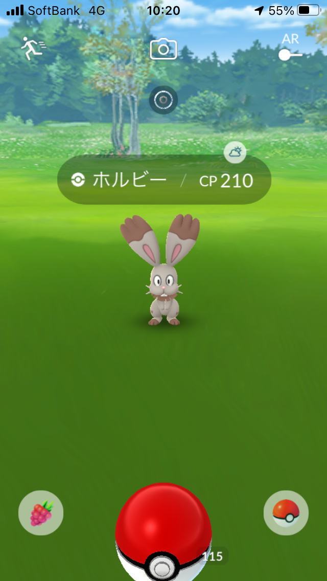 f:id:kyotopgo:20201202202006p:plain