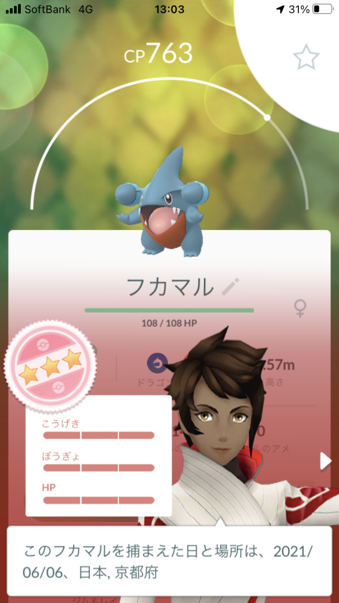 田舎でも楽しめる ポケモンgo 京都日記