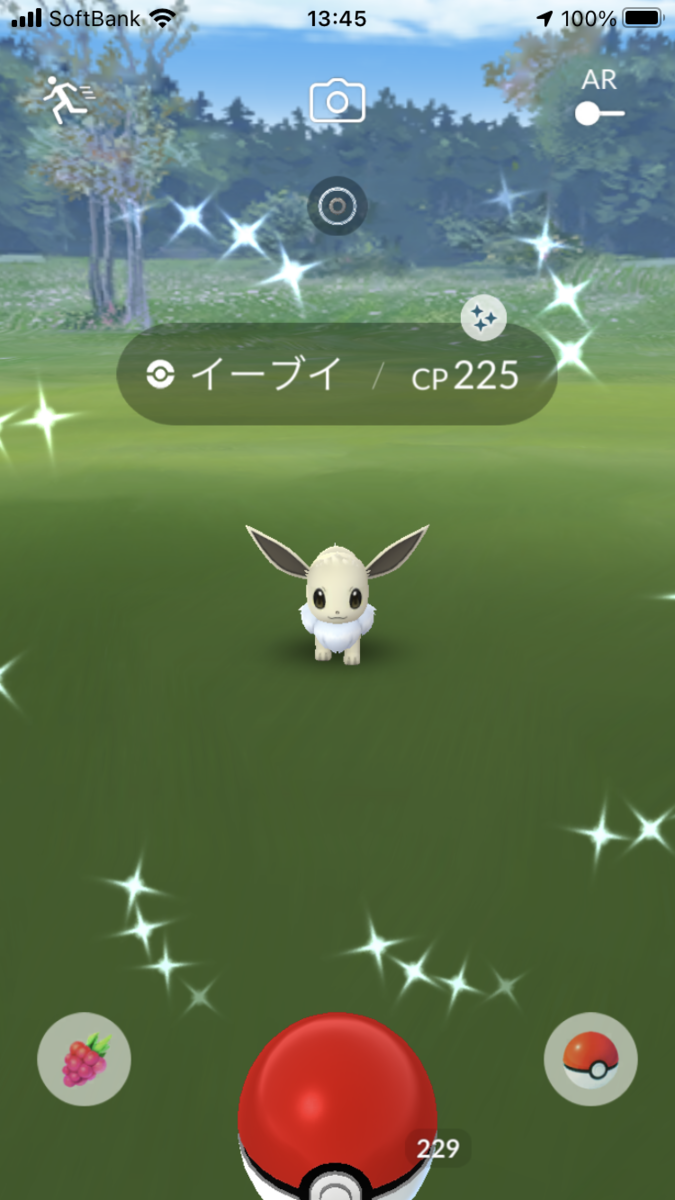 f:id:kyotopgo:20210817213302p:plain