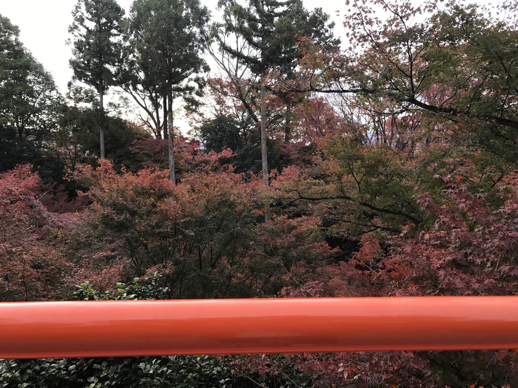 f:id:kyotosan:20181126105316j:plain f:id:kyotosan:20181126105316j:plain