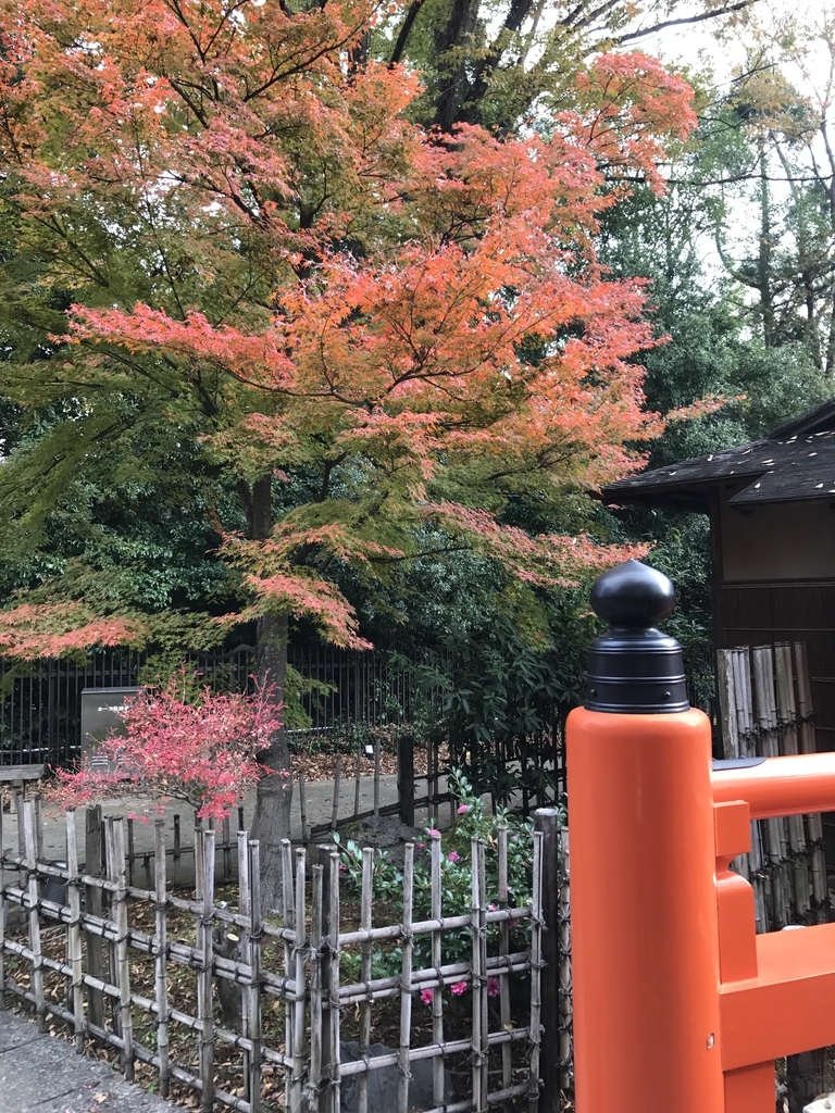 f:id:kyotosan:20181126105344j:plain f:id:kyotosan:20181126105344j:plain