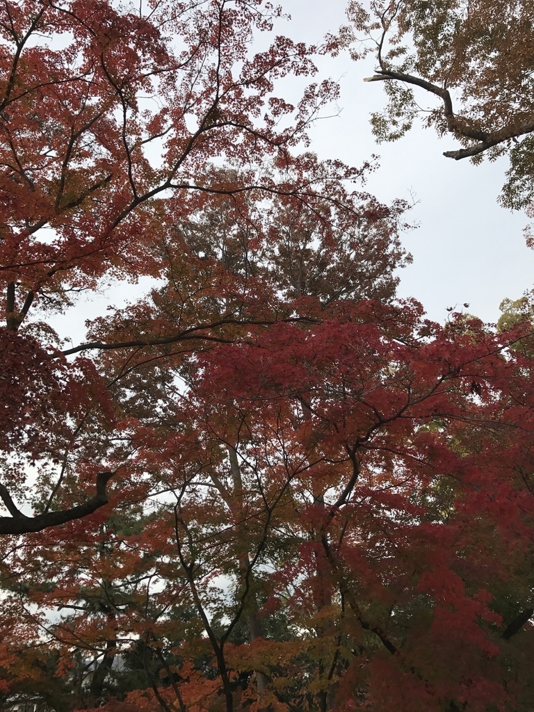 f:id:kyotosan:20181126105425j:plain f:id:kyotosan:20181126105425j:plain