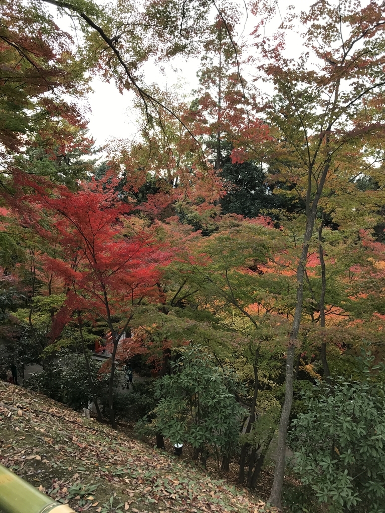 f:id:kyotosan:20181126105617j:plain f:id:kyotosan:20181126105617j:plain