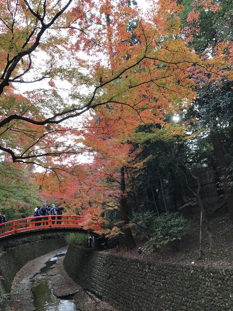 f:id:kyotosan:20181126105945j:plain f:id:kyotosan:20181126105945j:plain