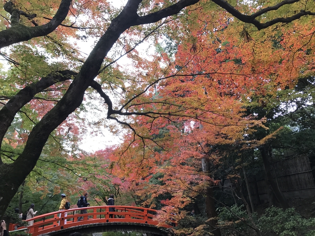f:id:kyotosan:20181126110037j:plain f:id:kyotosan:20181126110037j:plain