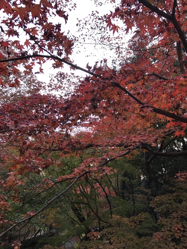 f:id:kyotosan:20181128205457j:plain f:id:kyotosan:20181128205457j:plain
