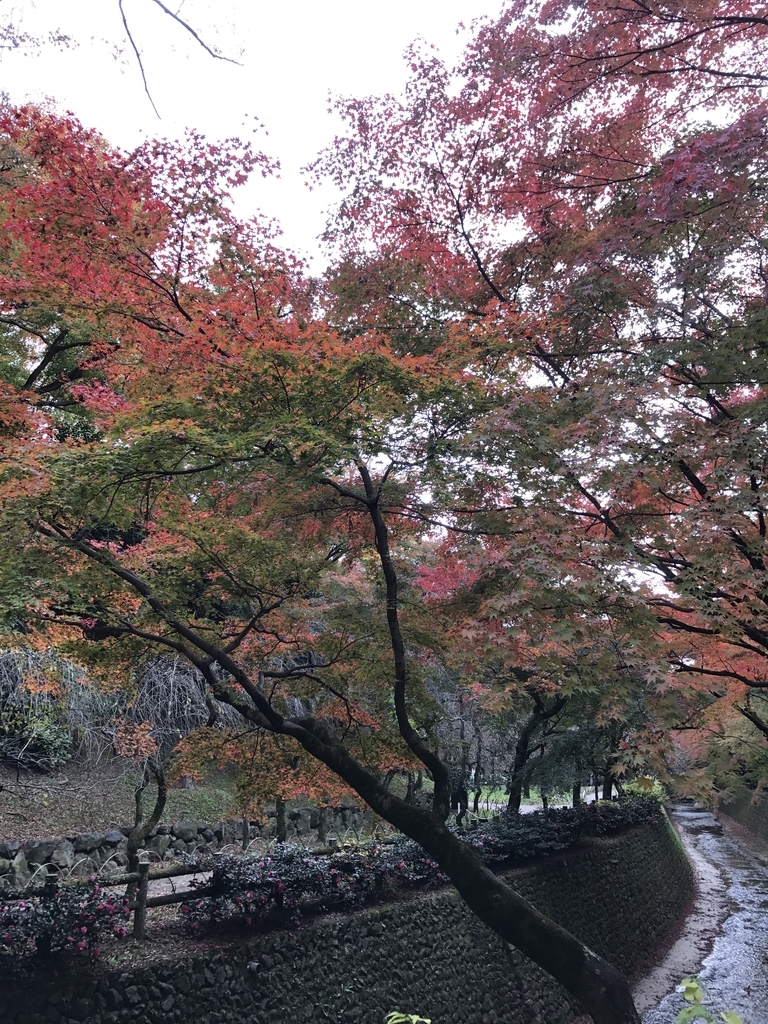 f:id:kyotosan:20181128205642j:plain f:id:kyotosan:20181128205642j:plain