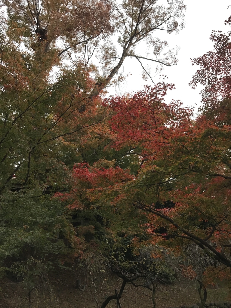 f:id:kyotosan:20181128205720j:plain f:id:kyotosan:20181128205720j:plain