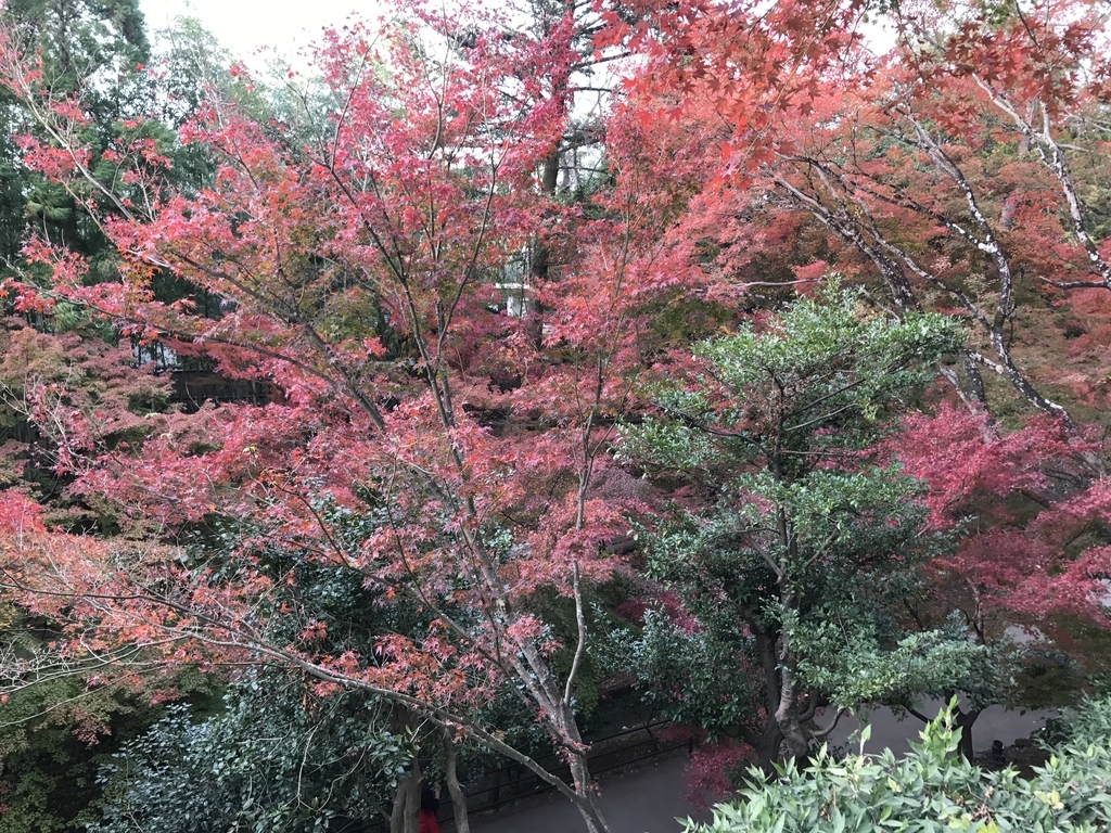 f:id:kyotosan:20181128205923j:plain f:id:kyotosan:20181128205923j:plain