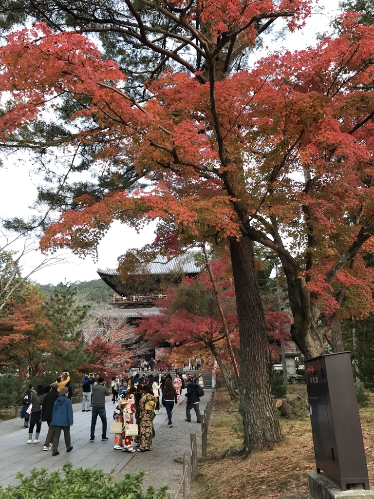 f:id:kyotosan:20181128210059j:plain f:id:kyotosan:20181128210059j:plain