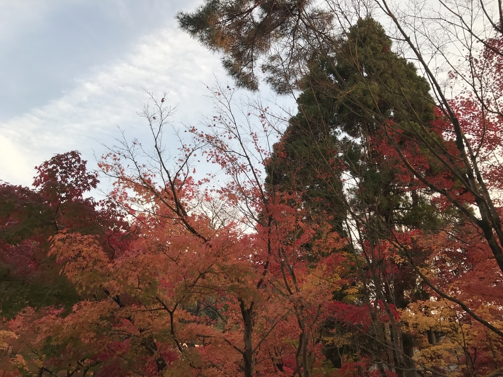 f:id:kyotosan:20181128210402j:plain f:id:kyotosan:20181128210402j:plain