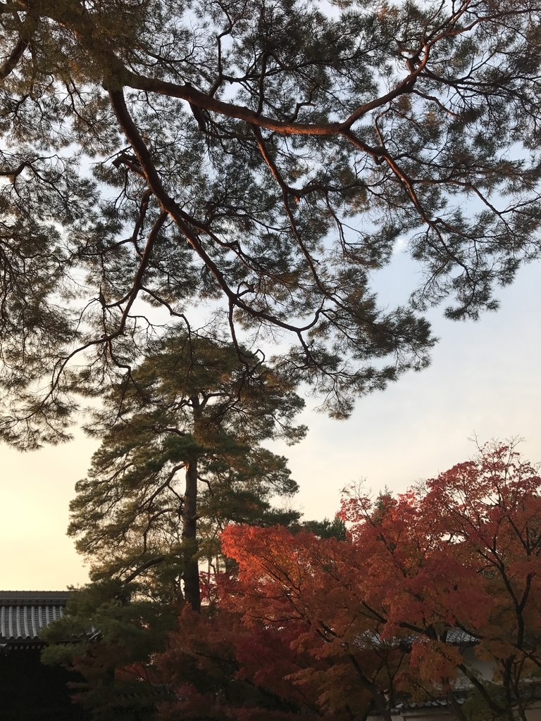 f:id:kyotosan:20181128210442j:plain f:id:kyotosan:20181128210442j:plain