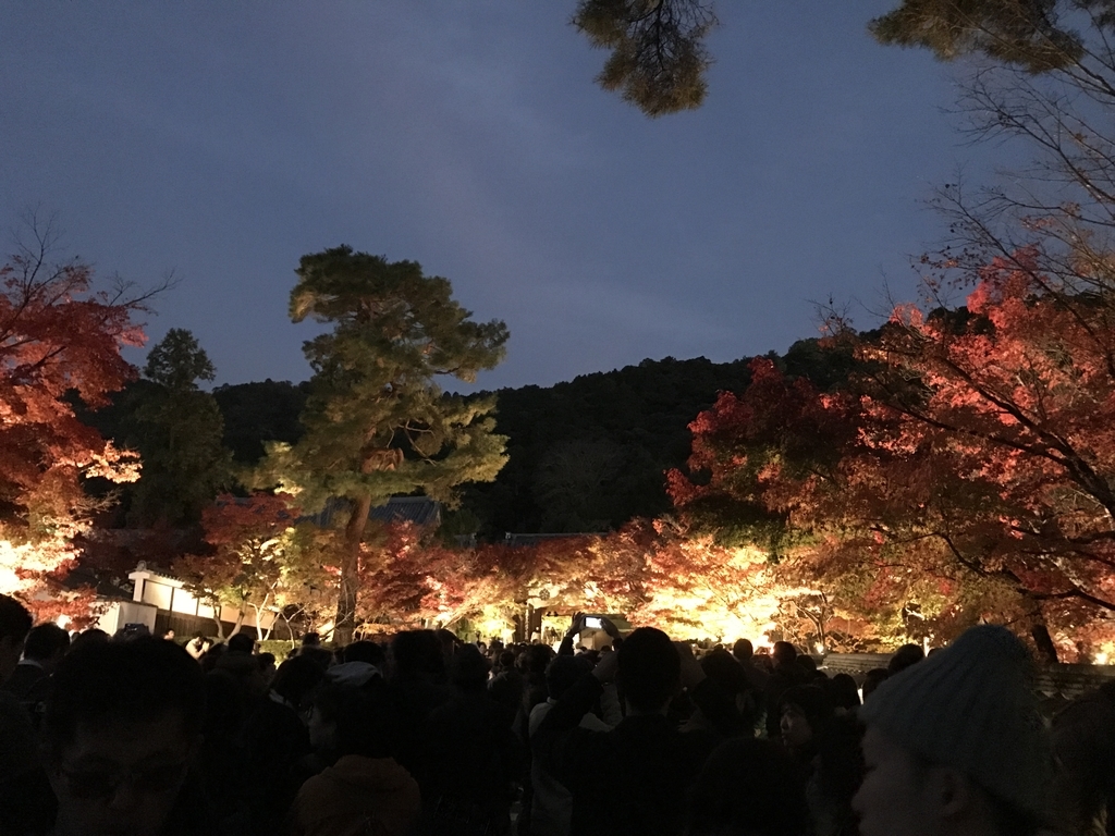 f:id:kyotosan:20181128210527j:plain f:id:kyotosan:20181128210527j:plain