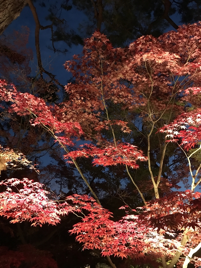 f:id:kyotosan:20181128210612j:plain f:id:kyotosan:20181128210612j:plain