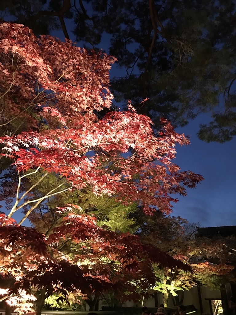 f:id:kyotosan:20181128210644j:plain f:id:kyotosan:20181128210644j:plain