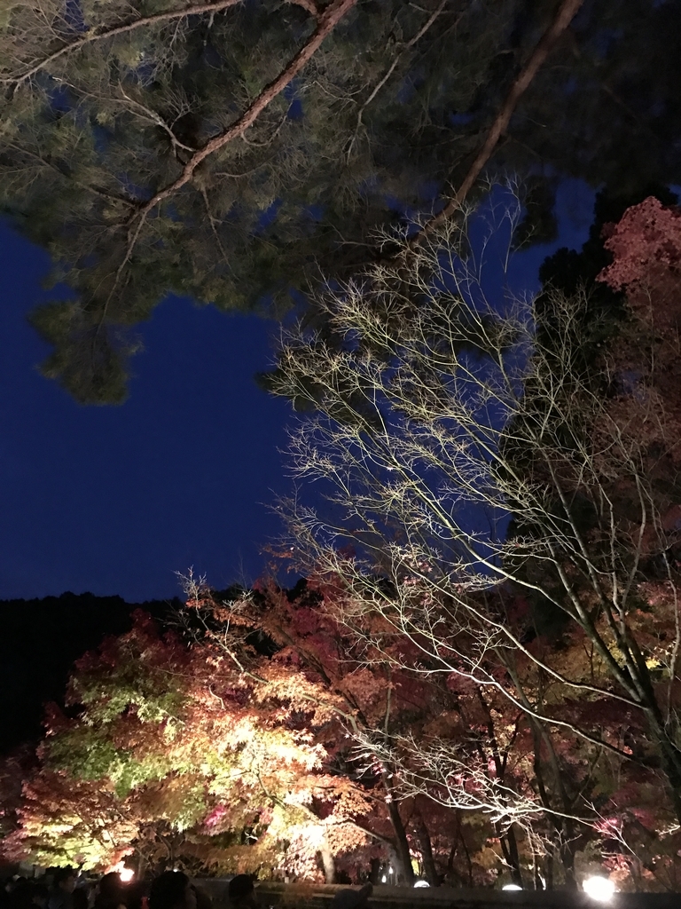f:id:kyotosan:20181128210713j:plain f:id:kyotosan:20181128210713j:plain