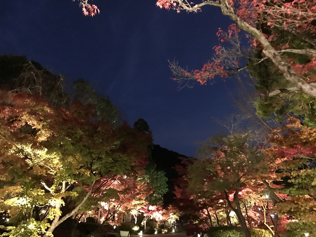 f:id:kyotosan:20181128211046j:plain f:id:kyotosan:20181128211046j:plain