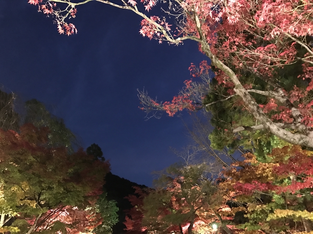 f:id:kyotosan:20181128211130j:plain f:id:kyotosan:20181128211130j:plain