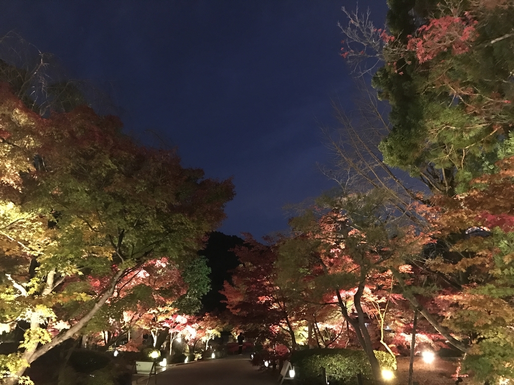 f:id:kyotosan:20181128211155j:plain f:id:kyotosan:20181128211155j:plain
