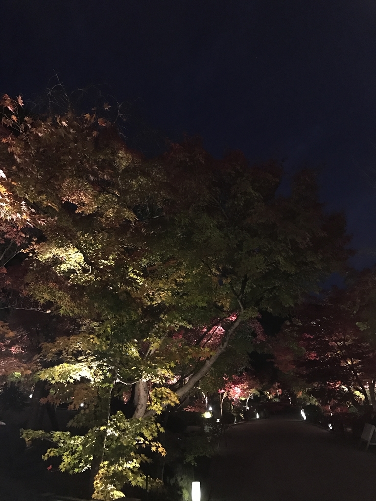 f:id:kyotosan:20181128211222j:plain f:id:kyotosan:20181128211222j:plain