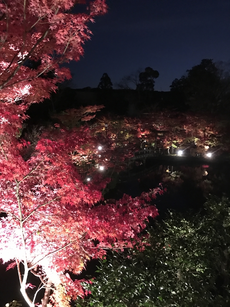 f:id:kyotosan:20181128211338j:plain f:id:kyotosan:20181128211338j:plain