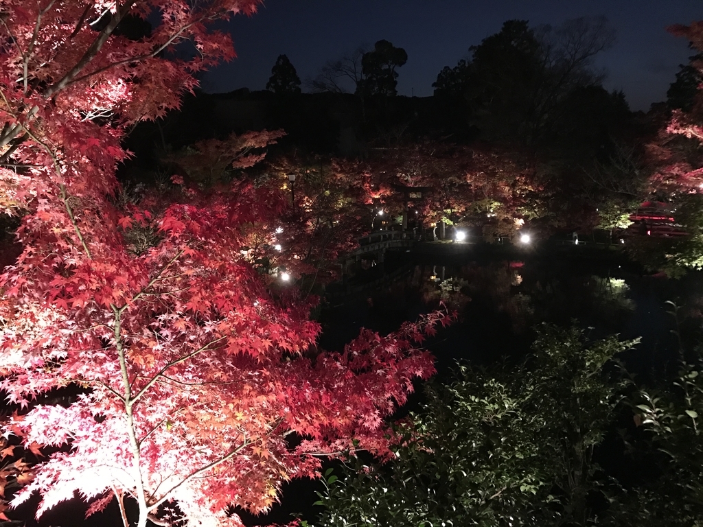 f:id:kyotosan:20181128211401j:plain f:id:kyotosan:20181128211401j:plain