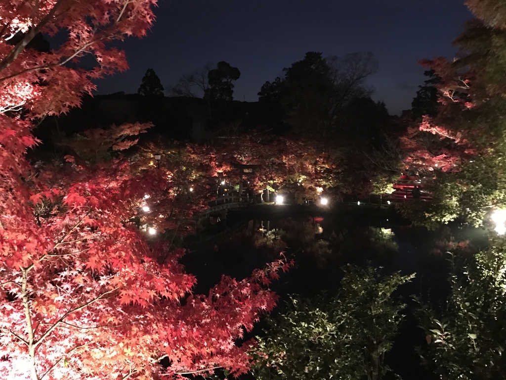 f:id:kyotosan:20181128211425j:plain f:id:kyotosan:20181128211425j:plain