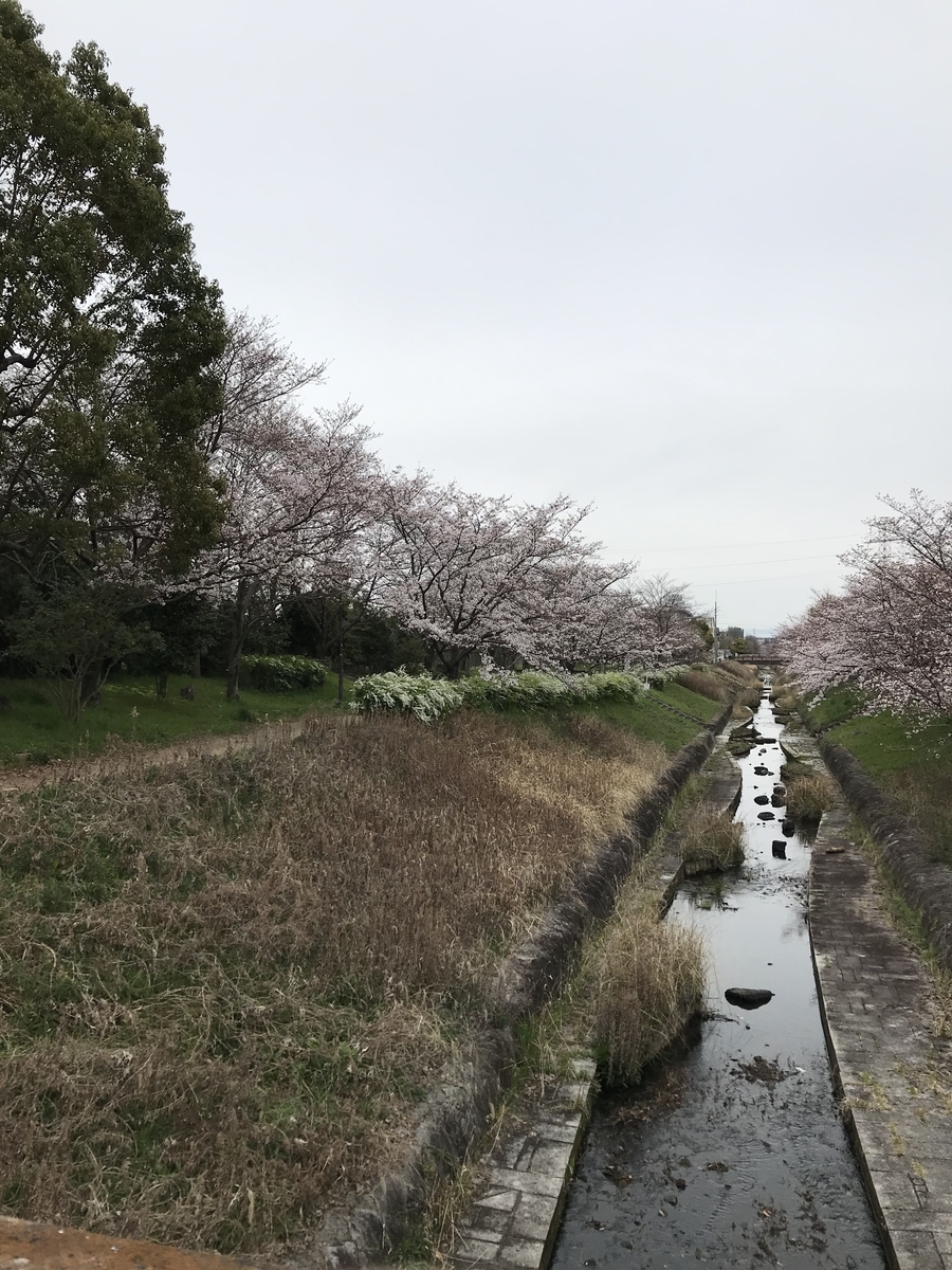 f:id:kyotosan:20200330213830j:plain f:id:kyotosan:20200330213830j:plain