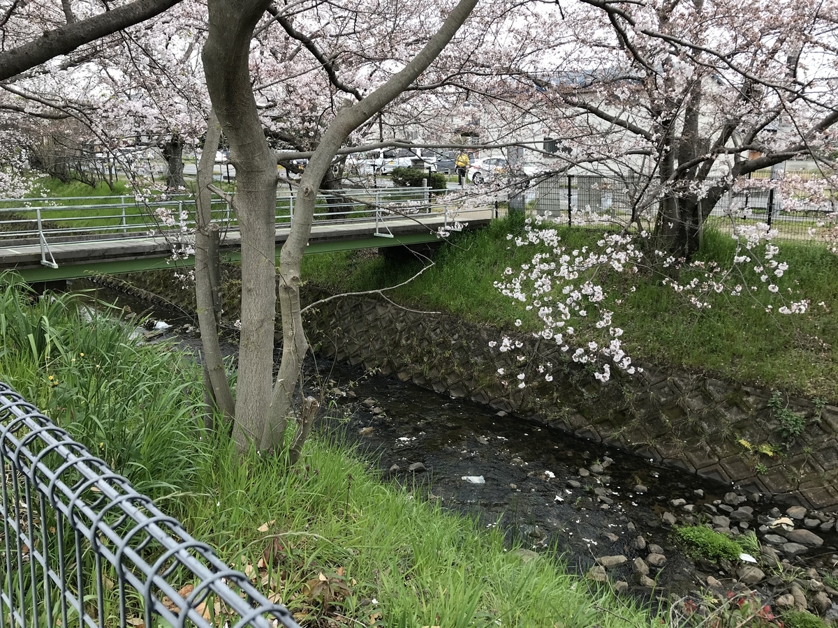 f:id:kyotosan:20200330214024j:plain f:id:kyotosan:20200330214024j:plain