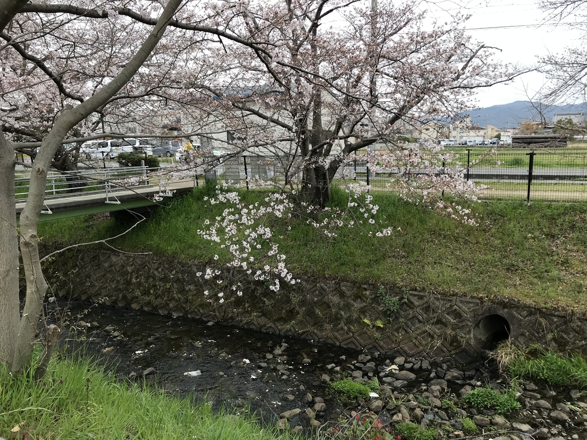 f:id:kyotosan:20200330214053j:plain f:id:kyotosan:20200330214053j:plain