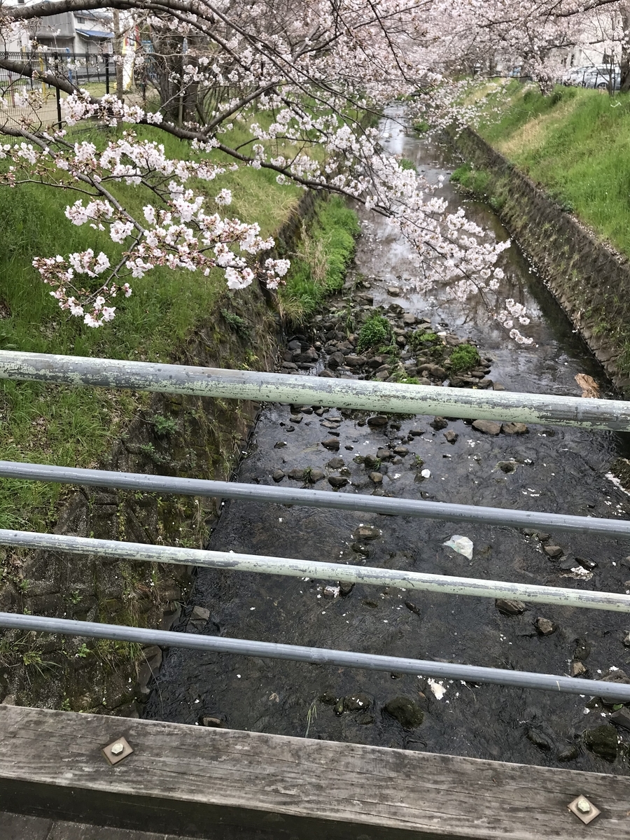 f:id:kyotosan:20200330214401j:plain f:id:kyotosan:20200330214401j:plain