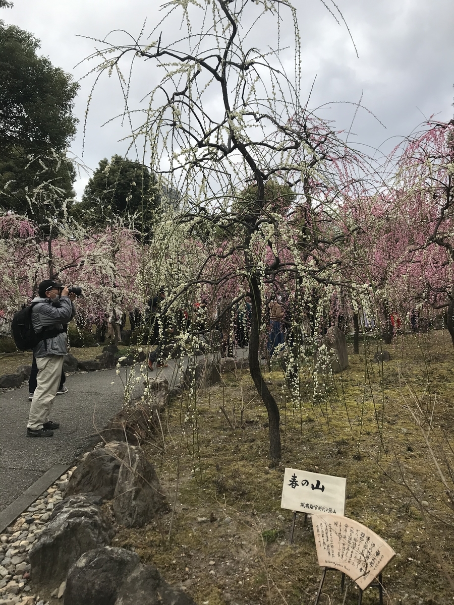 f:id:kyotosan:20210223192814j:plain