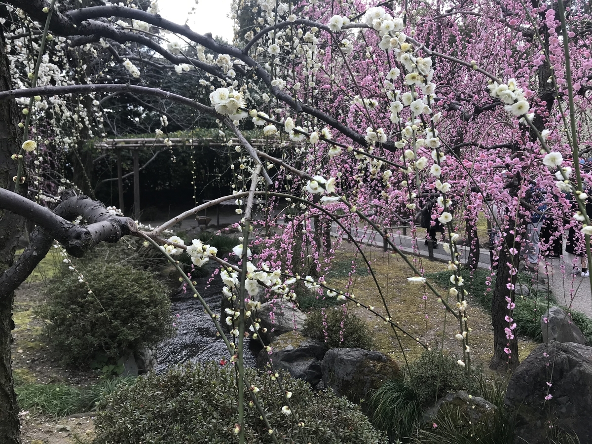 f:id:kyotosan:20210223193057j:plain