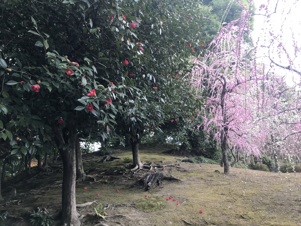 f:id:kyotosan:20210223193739j:plain