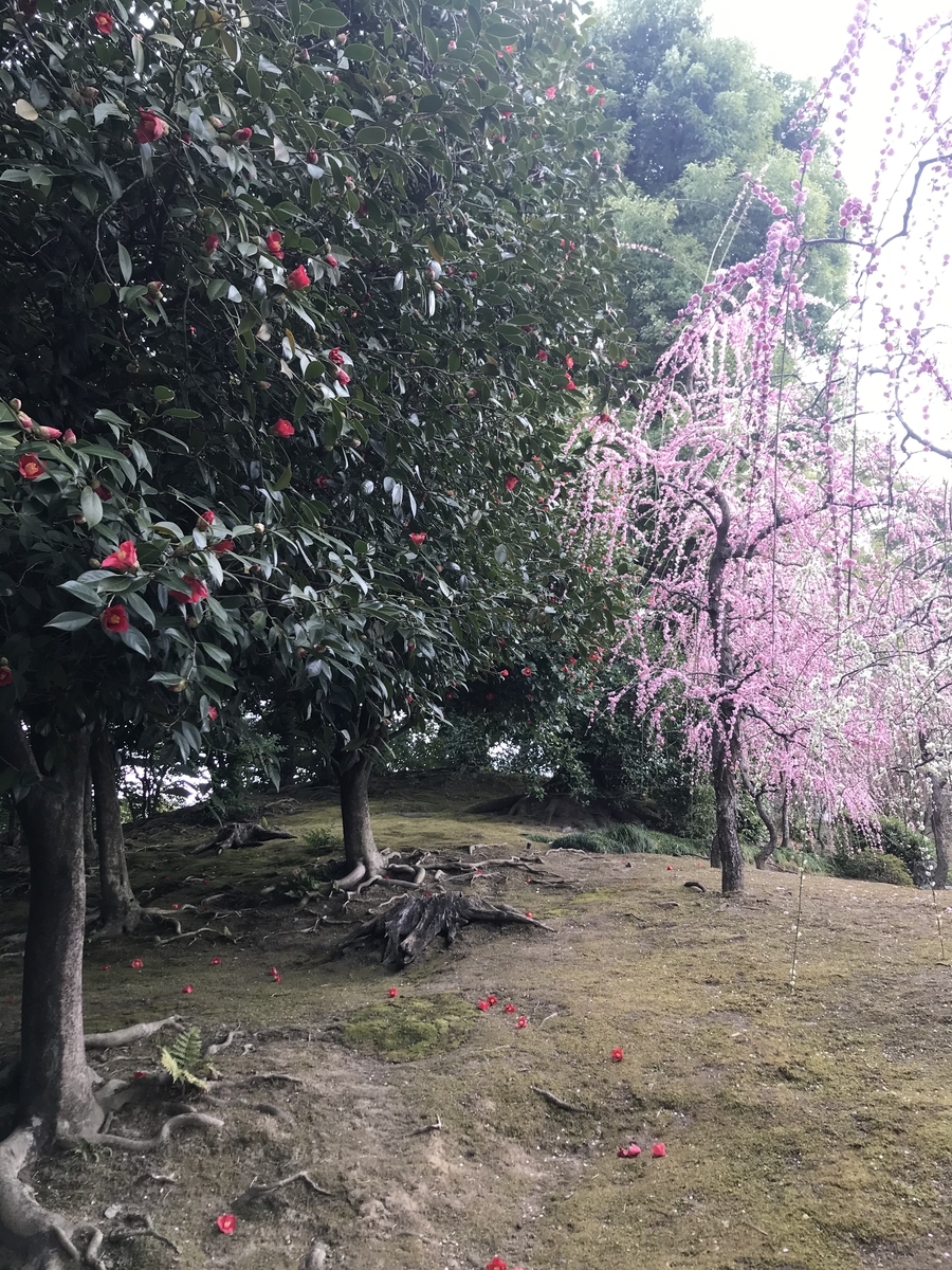 f:id:kyotosan:20210223193806j:plain