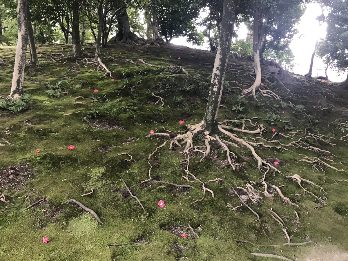 f:id:kyotosan:20210223193958j:plain