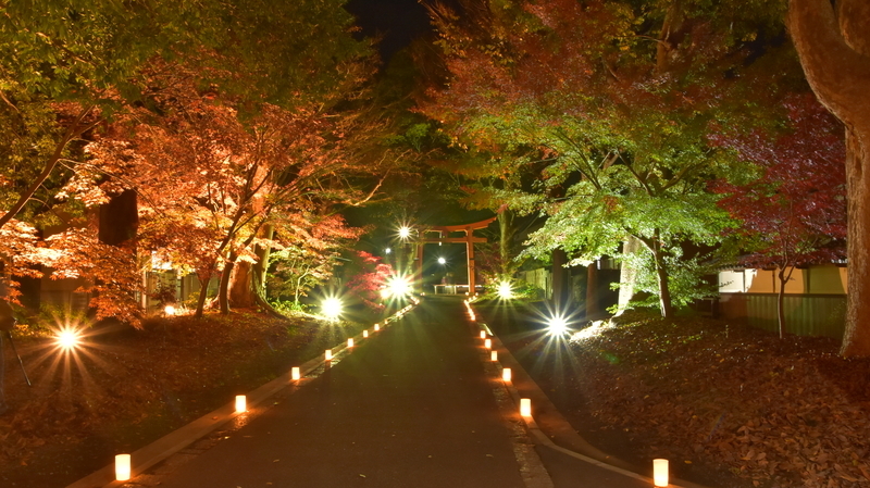 f:id:kyotoside:20220202133311j:plain