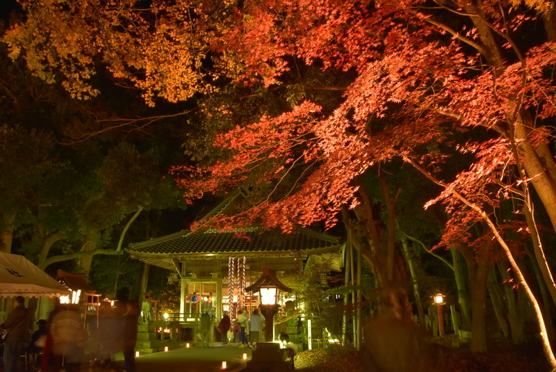 f:id:kyotoside:20220202133339j:plain