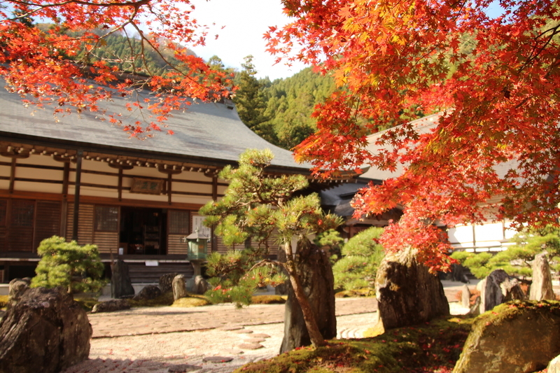 f:id:kyotoside:20220202140710j:plain