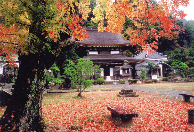 f:id:kyotoside:20220202140736j:plain