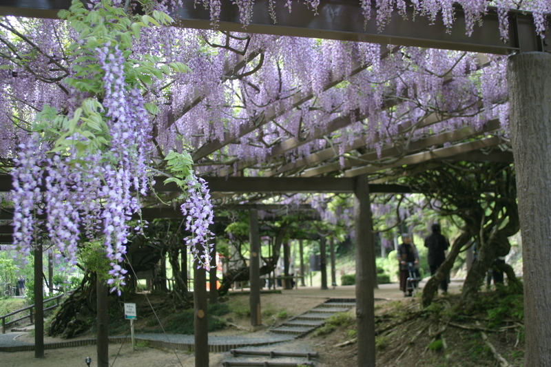 f:id:kyotoside:20220202140815j:plain