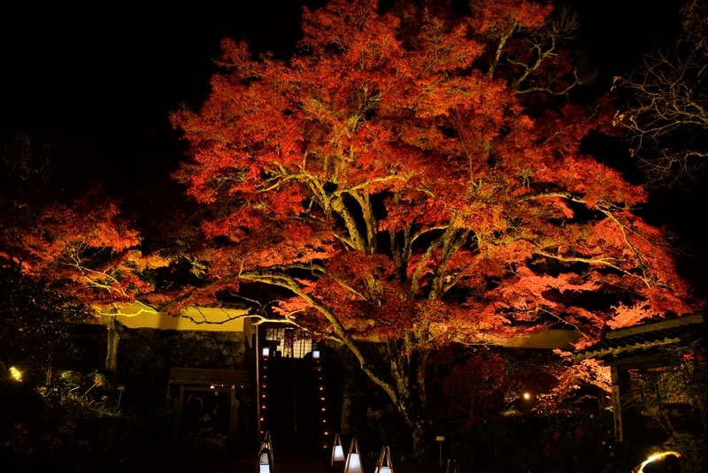 f:id:kyotoside:20220202152658j:plain