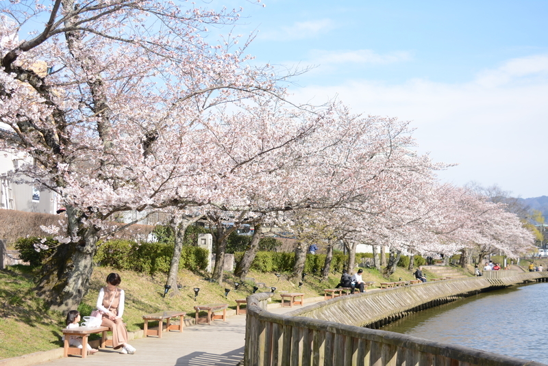 f:id:kyotoside:20220202153036j:plain