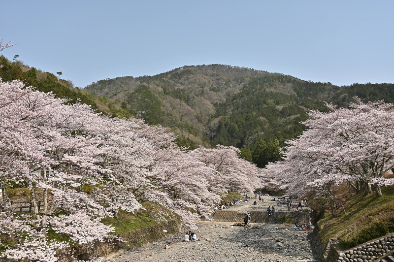 f:id:kyotoside:20220202153104j:plain