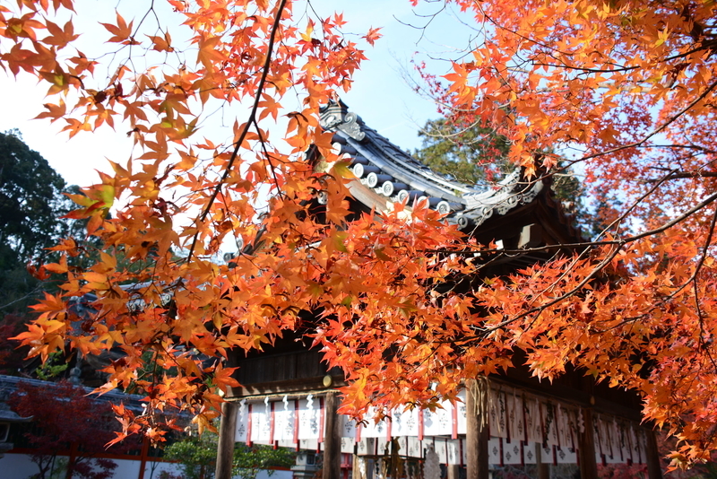 f:id:kyotoside:20220202153121j:plain