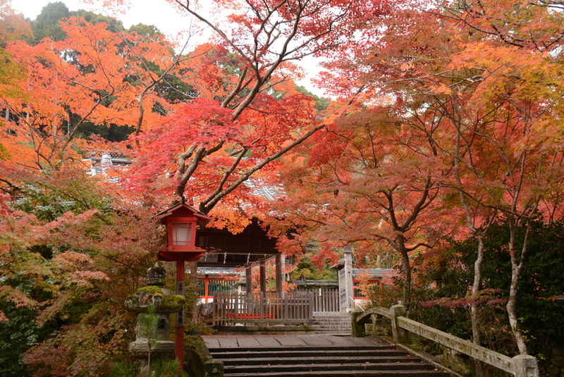 f:id:kyotoside:20220202153143j:plain
