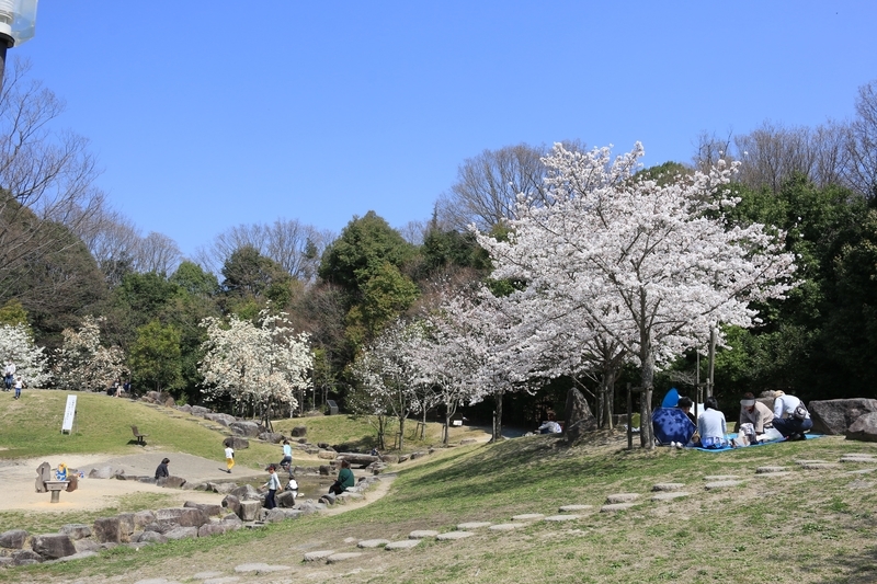 f:id:kyotoside:20220202160716j:plain