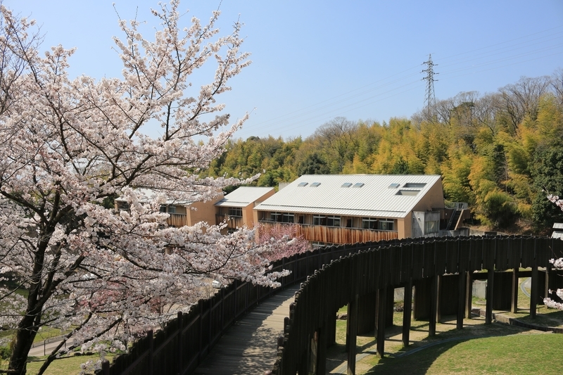 f:id:kyotoside:20220202160747j:plain